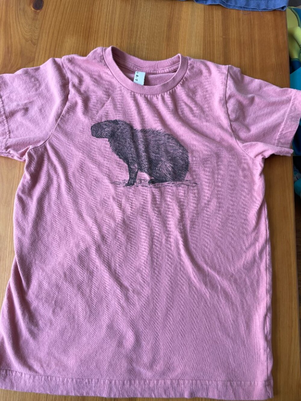 Capybara T-shirt